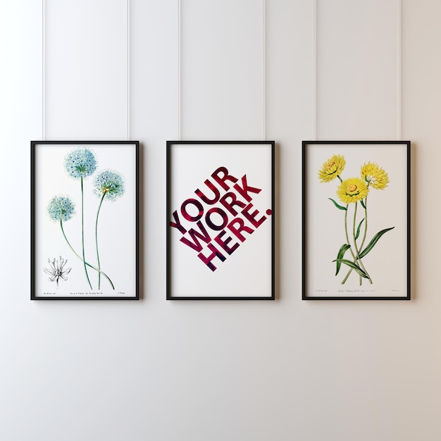 Conjunto de estampas botánicas para el arte de la pared