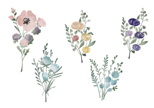 Conjunto floral de aquarela Colecção de folhas e galhos de flores silvestres pintados à mão