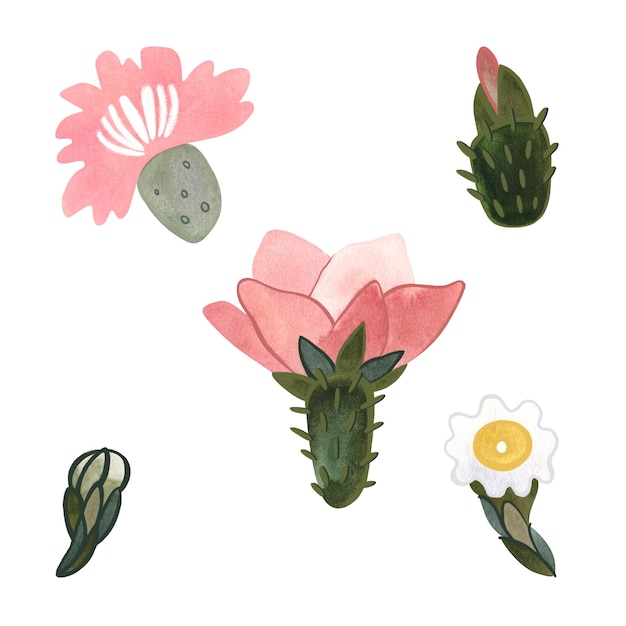 Conjunto de flores de cactus Plantas para el hogar Floricultura Flora del desierto Ilustración de acuarela aislada