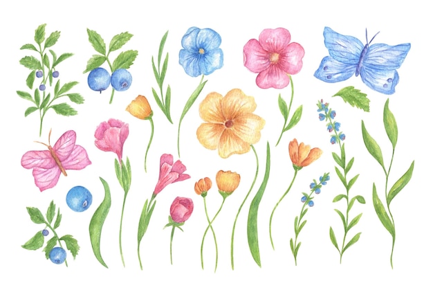 Un conjunto de flores hojas mariposas y bayas acuarela floral ilustración para la boda