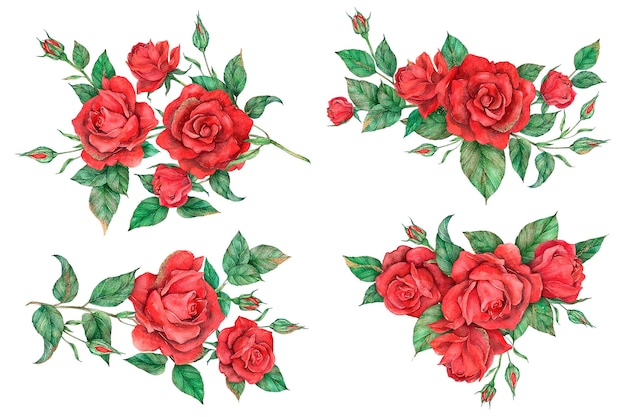 Conjunto de flores de rosa roja png dibujado a mano