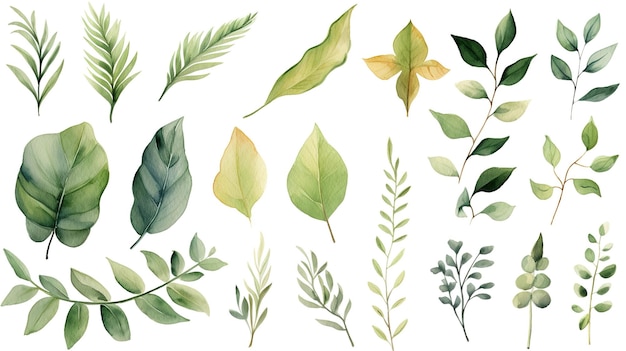Foto conjunto de hojas y elementos de la naturaleza pintados en acuarela ia generativa