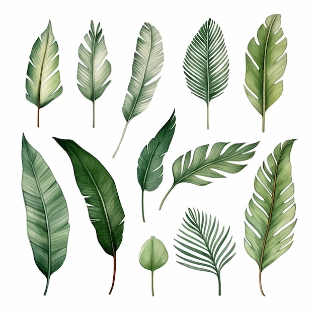 Un conjunto de hojas tropicales pintadas de verde
