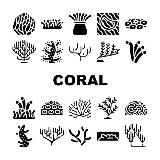 Conjunto de iconos de colección de arrecifes acuáticos de mar de coral Vector Agua marina natural Flora de coral Océano Planta de naturaleza submarina Algas algas Pictogramas de glifos Ilustraciones negras