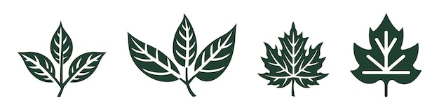 Conjunto de iconos de hoja ecología naturaleza elemento hojas negras medio ambiente y naturaleza eco signo