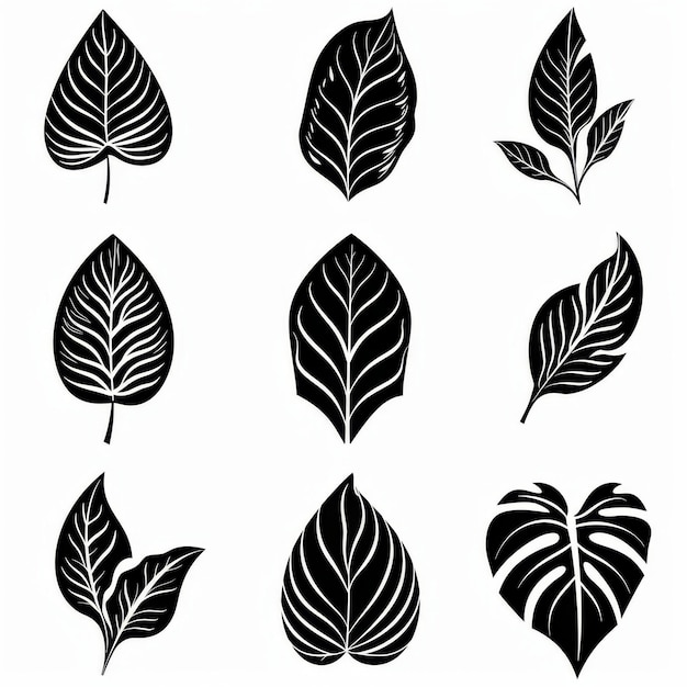 Foto conjunto de iconos de plantas de maceta de dieffenbachia diseño en blanco y negro abstracto símbolo de dieffenbachia