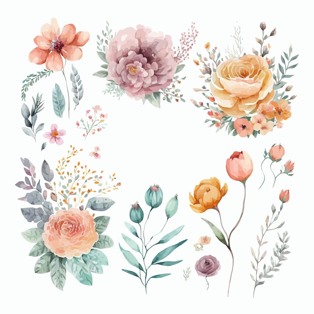 Conjunto de ilustración floral acuarela Plantilla de elementos decorativos Ilustración de dibujos animados plana aislada sobre fondo blanco