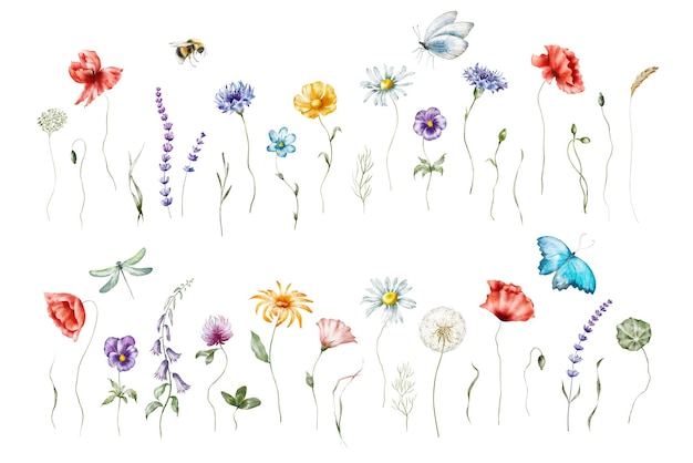 Foto conjunto de ilustración floral acuarela