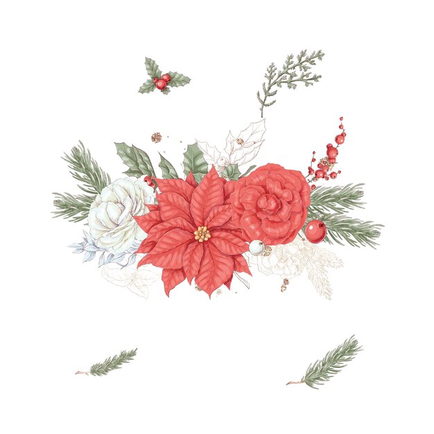 Conjunto de ilustración navideña de ramo de flores de invierno poinsettia algodón y naranja