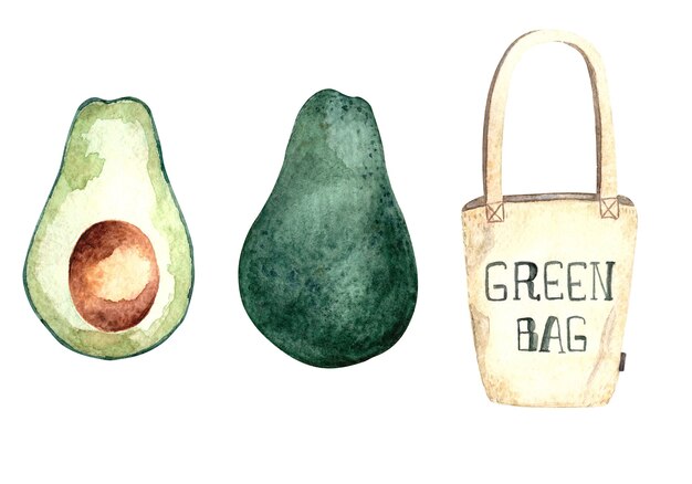 conjunto de ilustraciones en acuarela con aguacate y bolsa de compras ecológica