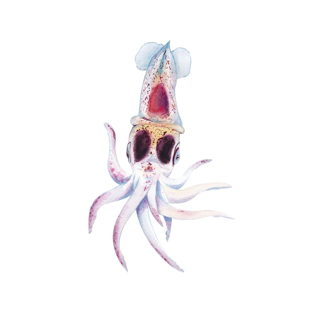 Foto un conjunto de ilustraciones de acuarela manta ray, calamar, medusa, pulpo, rape, corales, piedras