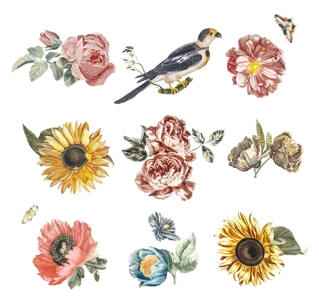 Conjunto de ilustraciones dibujadas a mano con pegatinas png de pájaros y flores vintage