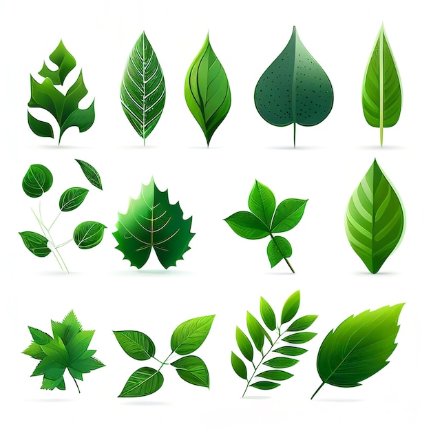 Foto conjunto de ilustraciones de hojas con márgenes para diseño gráfico creado con tecnología de ia generativa