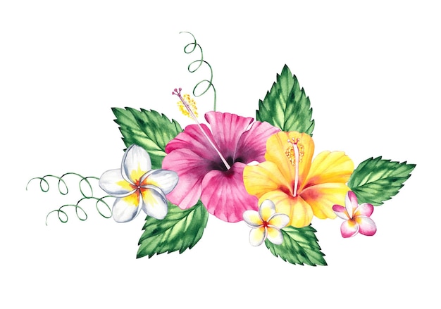 Conjunto de ilustraciones tropicales de verano