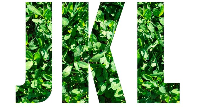 Foto conjunto de letras del alfabeto inglés. letras jkl de hierba verde aislado sobre fondo blanco. elementos para su diseño.