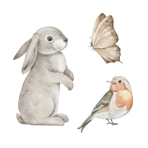 Conjunto de lindos animales del bosque esponjoso conejo gris conejito de pascua robin redbreast pájaro y mano de mariposa