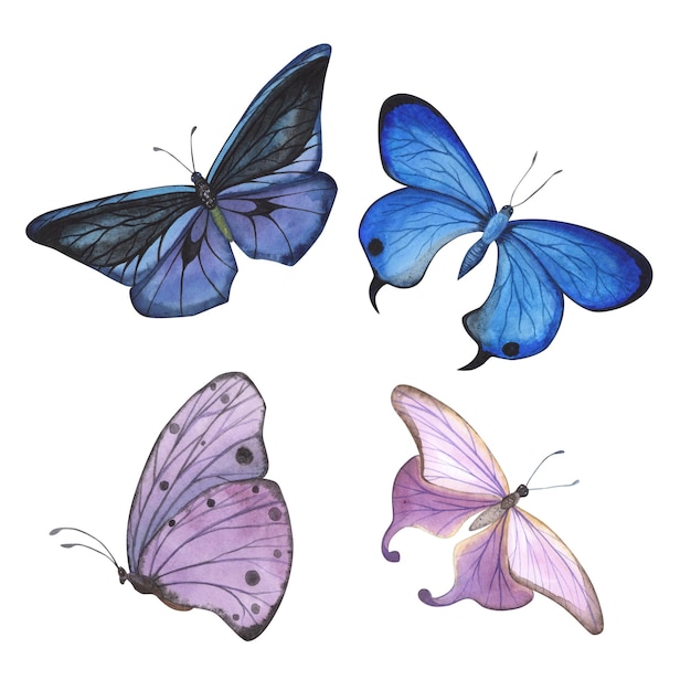 Conjunto Mariposa azul y violeta con ala detallada aislada Acuarela dibujada a mano ilustración de insectos realistas para el diseño