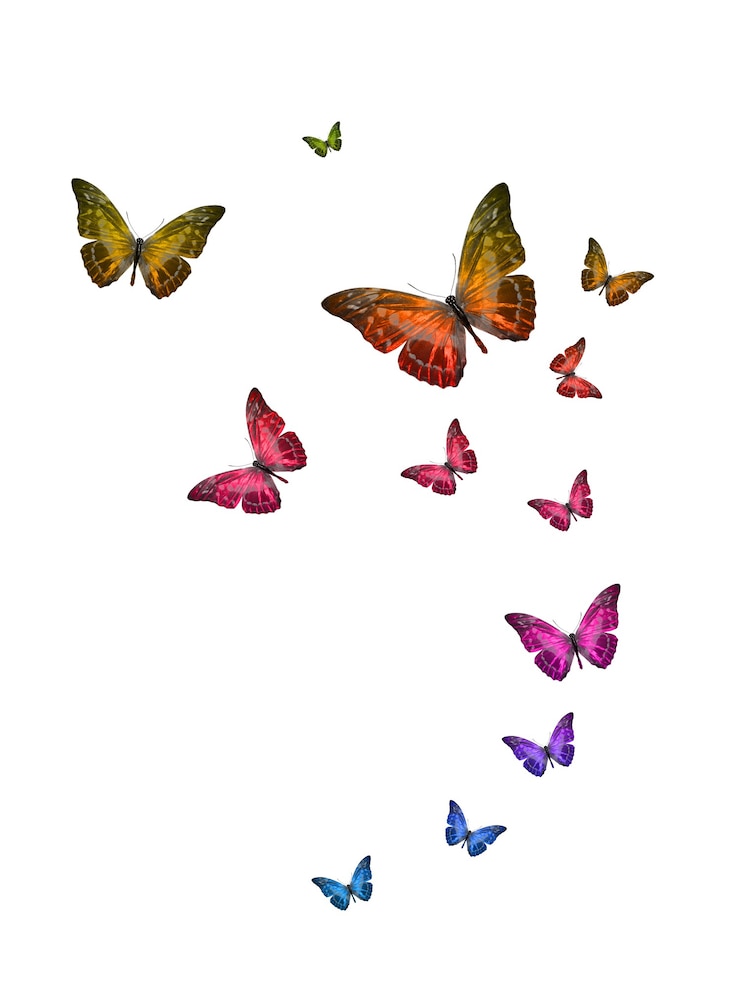 Foto conjunto de mariposas tropicales voladoras aisladas sobre fondo blanco