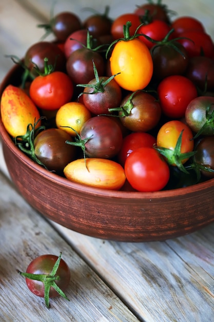 Conjunto de mini tomates de colores