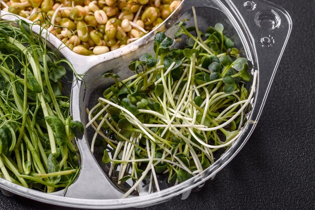 Un conjunto o mezcla de mostaza de guisantes y microvegetales de frijol mungo germinados en una caja de plástico en porciones sobre un fondo de hormigón oscuro