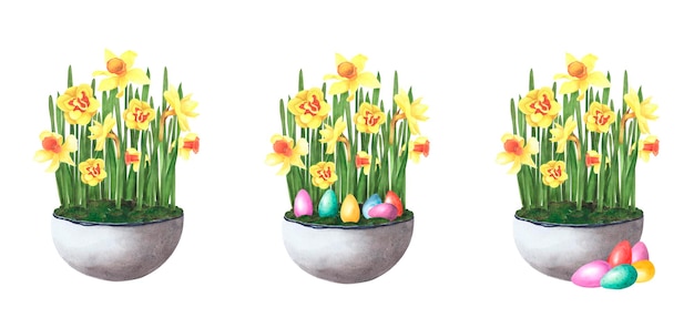 Conjunto de Pascua ramo de narcisos en maceta de cerámica con huevos de colores aislados en blanco Ilustración de dibujo a mano de acuarela