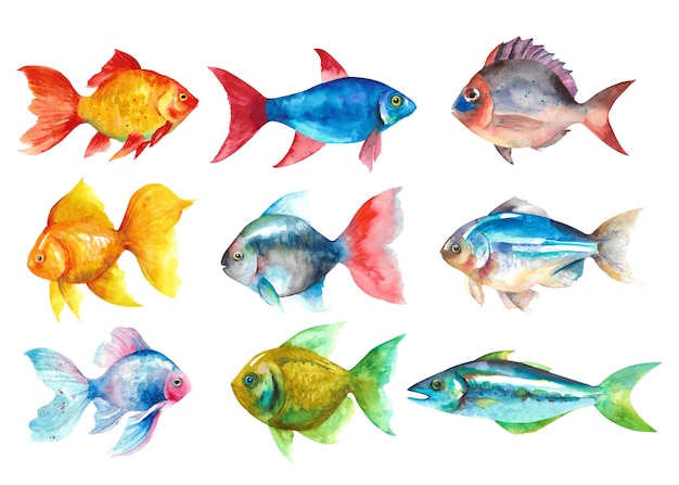 Foto conjunto de peces de acuarela dibujar a mano ilustración de peces aislado sobre fondo blanco