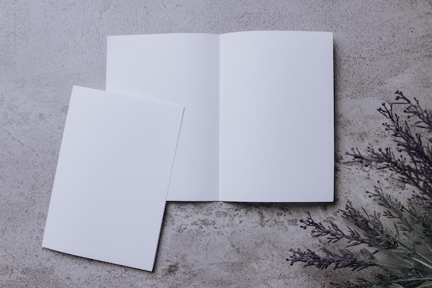 Conjunto de plantillas corporativas de diseño de identidad de folletos folleto de papel plegable blanco en blanco