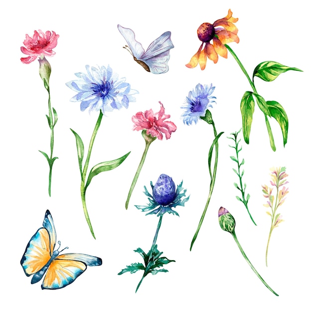 conjunto, de, pradera, azul, rosa, flores, mariposa, acuarela, ilustración, aislado