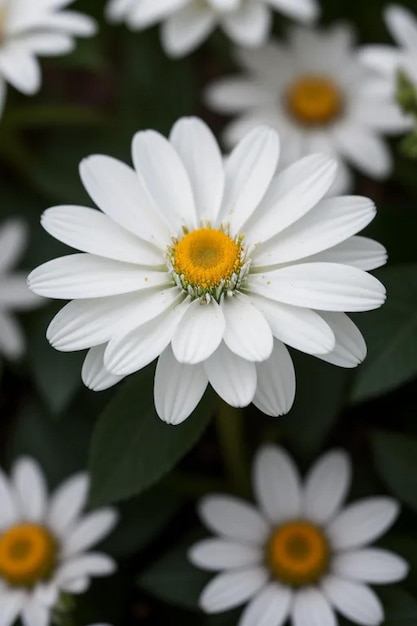 Foto conjunto de ramas de flores de orquídea blanca con hojas tropicales verdes frescas y elementos aislados en un fondo transparente