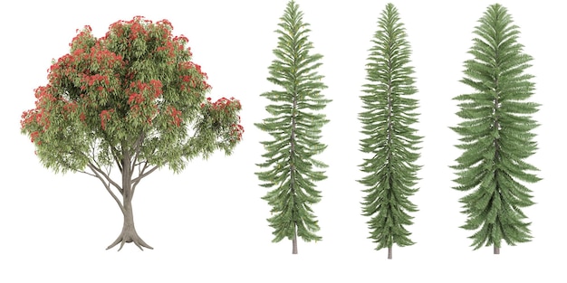 Conjunto de render 3d recortado de formas de Jungle Fireucalyptus ficifolia