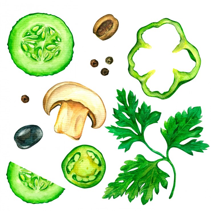 Conjunto de rodajas de verduras dibujadas en acuarela