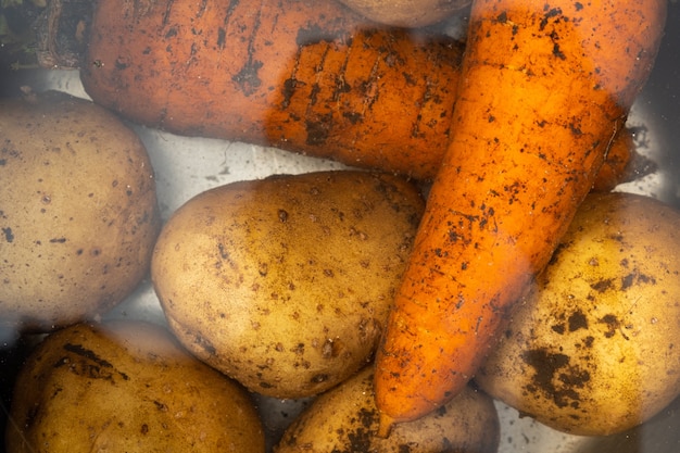 Conjunto de sopa de verduras crudas con zanahorias frescas y patatas en agua