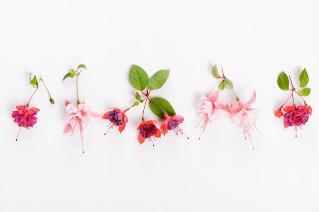 Conjunto de vacaciones planas con flores fucsias de color rosa púrpura sobre fondo blanco