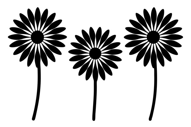 conjunto de vector de silueta de flor de margarita en fondo blanco