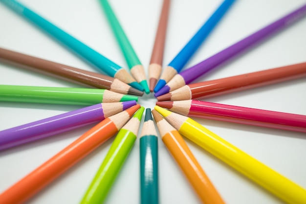 Conjuntos de foco de lápis de cor na caixa de lápis em um fundo branco