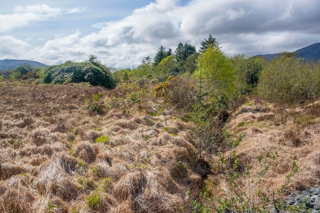 Connemara in Irland