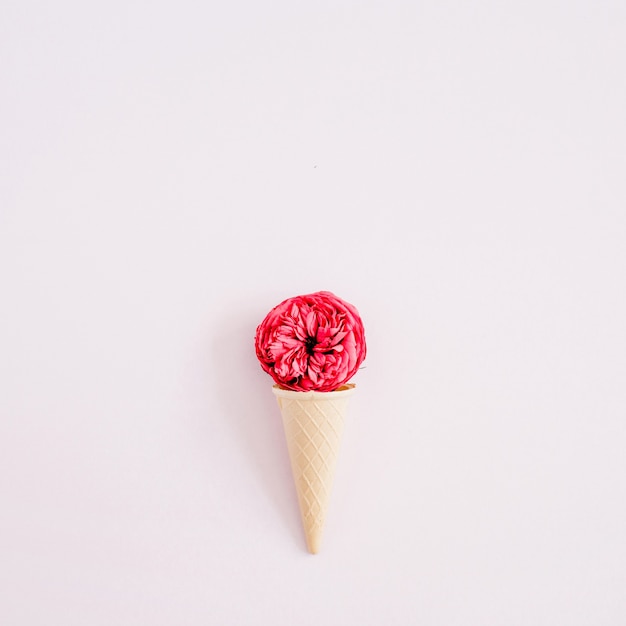 Cono de galleta con flor rosa roja sobre rosa pastel pálido