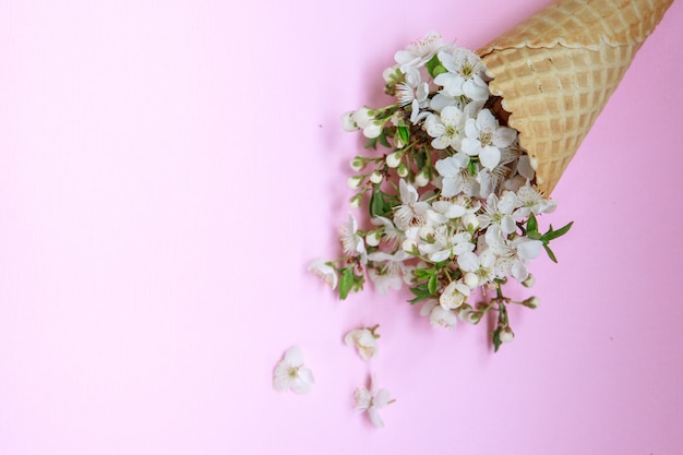 Cono de helado con flores blancas sobre un fondo rosa. Concepto de primavera. Fondo floral Endecha plana. Espacio para texto