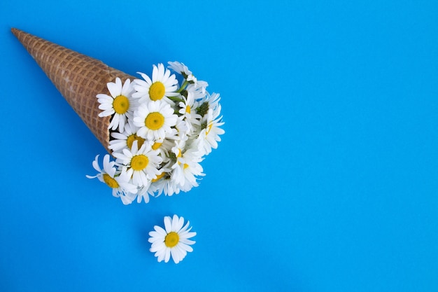 Cono de helado con flores de manzanilla