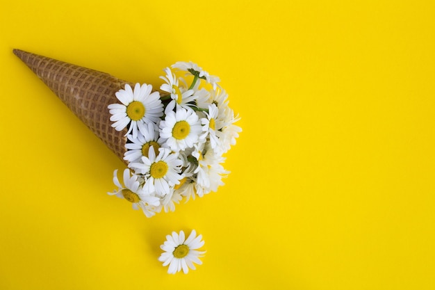 Cono de helado con manzanilla en amarillo