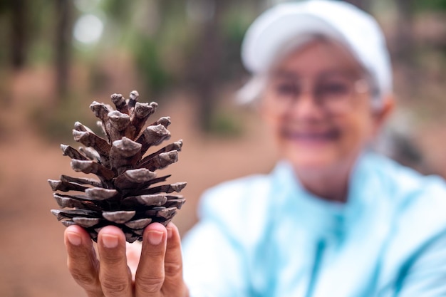 Cono de pino en la mano de una mujer madura Salvar el concepto de naturaleza