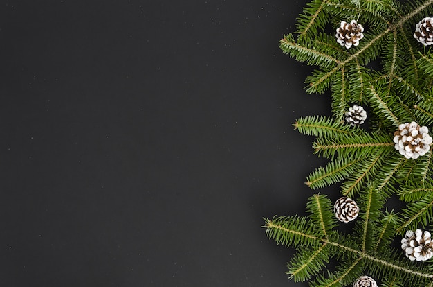 Cono de pino pintado a mano blanco rama de árbol de Navidad sobre fondo negro, banner maqueta Xma