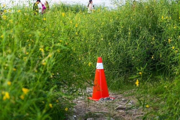 Cono triangular en el parque