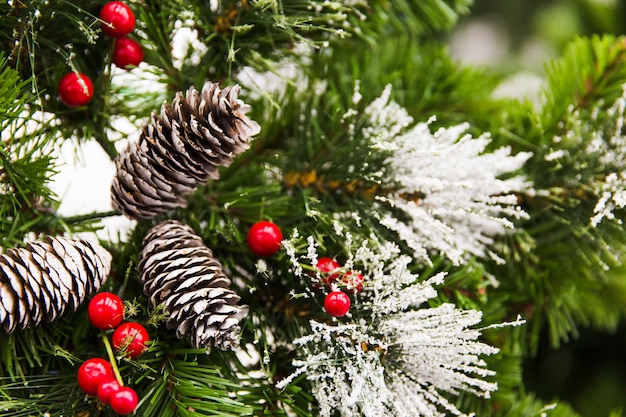 Conos en ramas verdes del árbol de navidad. Decoraciones de año nuevo