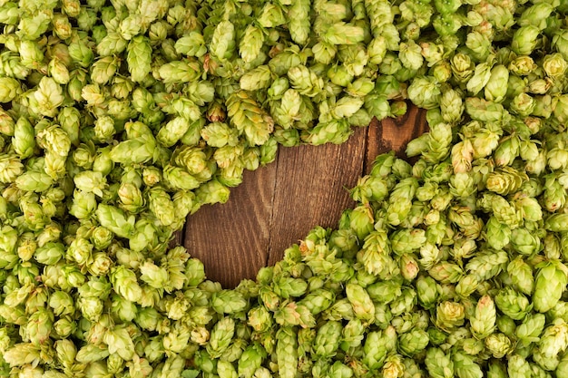 Conos verdes de lúpulo en una mesa rústica de madera envejecida con espacio de copia Fondo del concepto de cervecería Conos de lúpulo formados como una forma de botella de cerveza