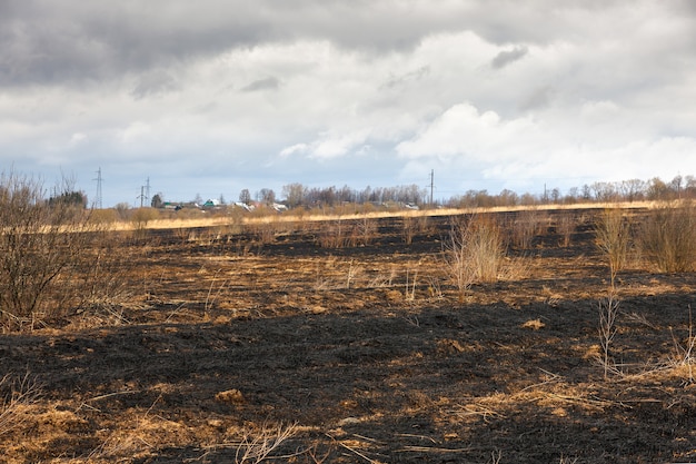 Consequências desastrosas de incêndios florestais