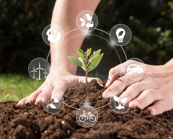 Foto conservación de plantas naturales