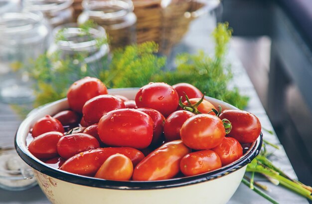 Conservación de los tomates en frascos Enfoque selectivo