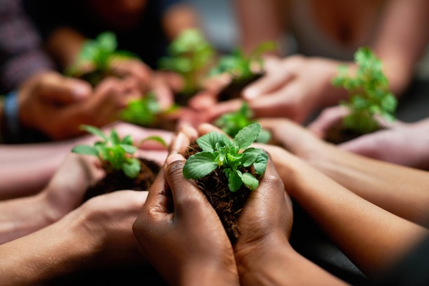 Conservando nuestro futuro Fotografía de un grupo de personas, cada una sosteniendo una planta que crece en el suelo