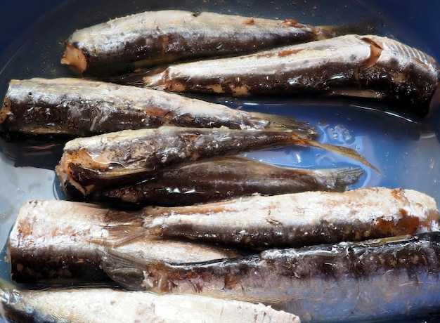 Conservas de sardinas mediterráneas en aceite Primer plano